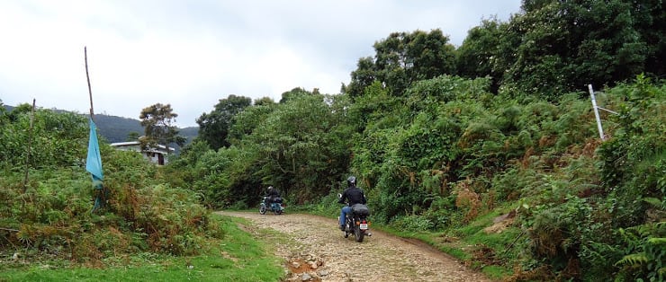 Anamudi_Shola_National_Park